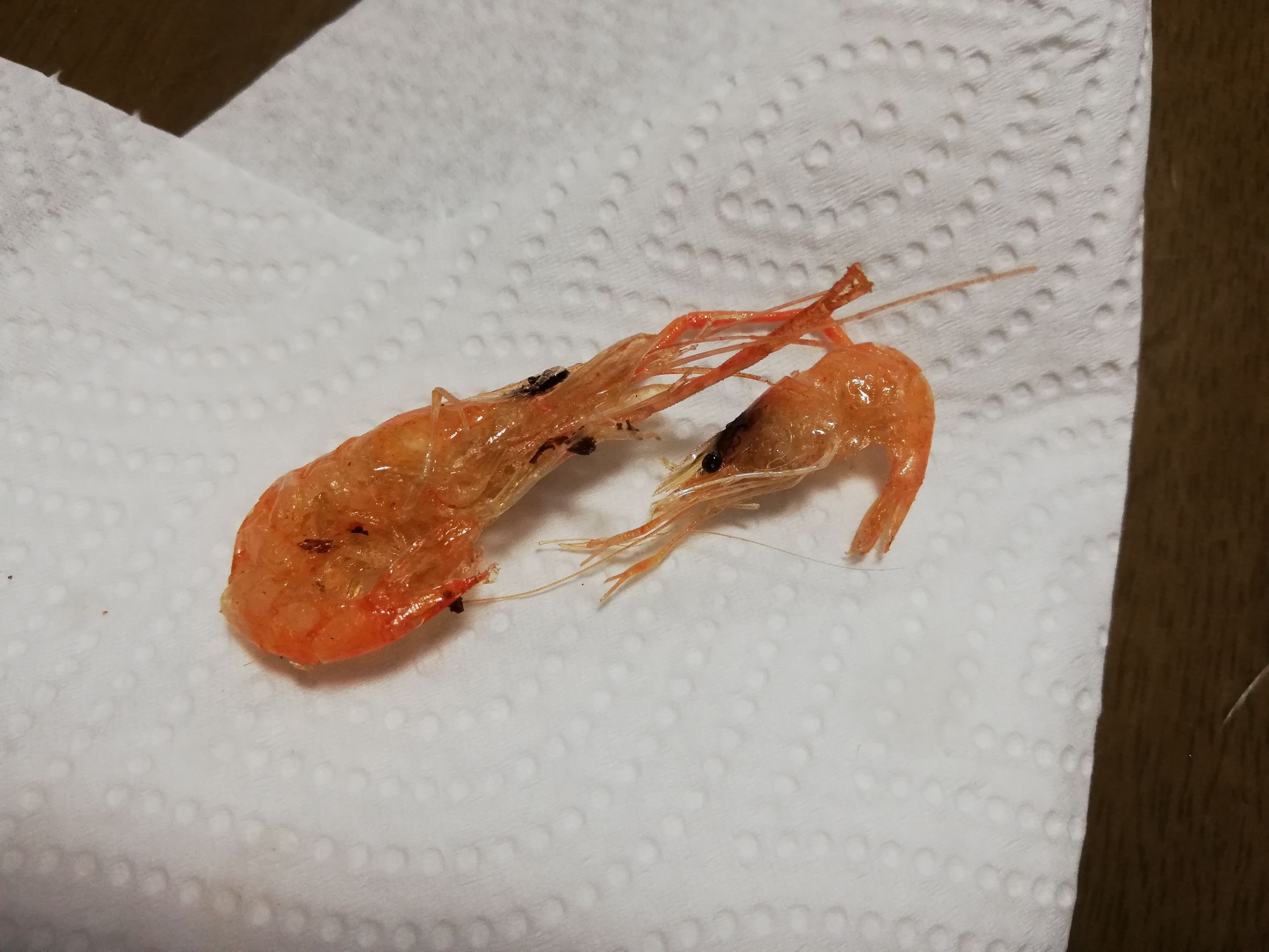 テナガエビ　素揚げ