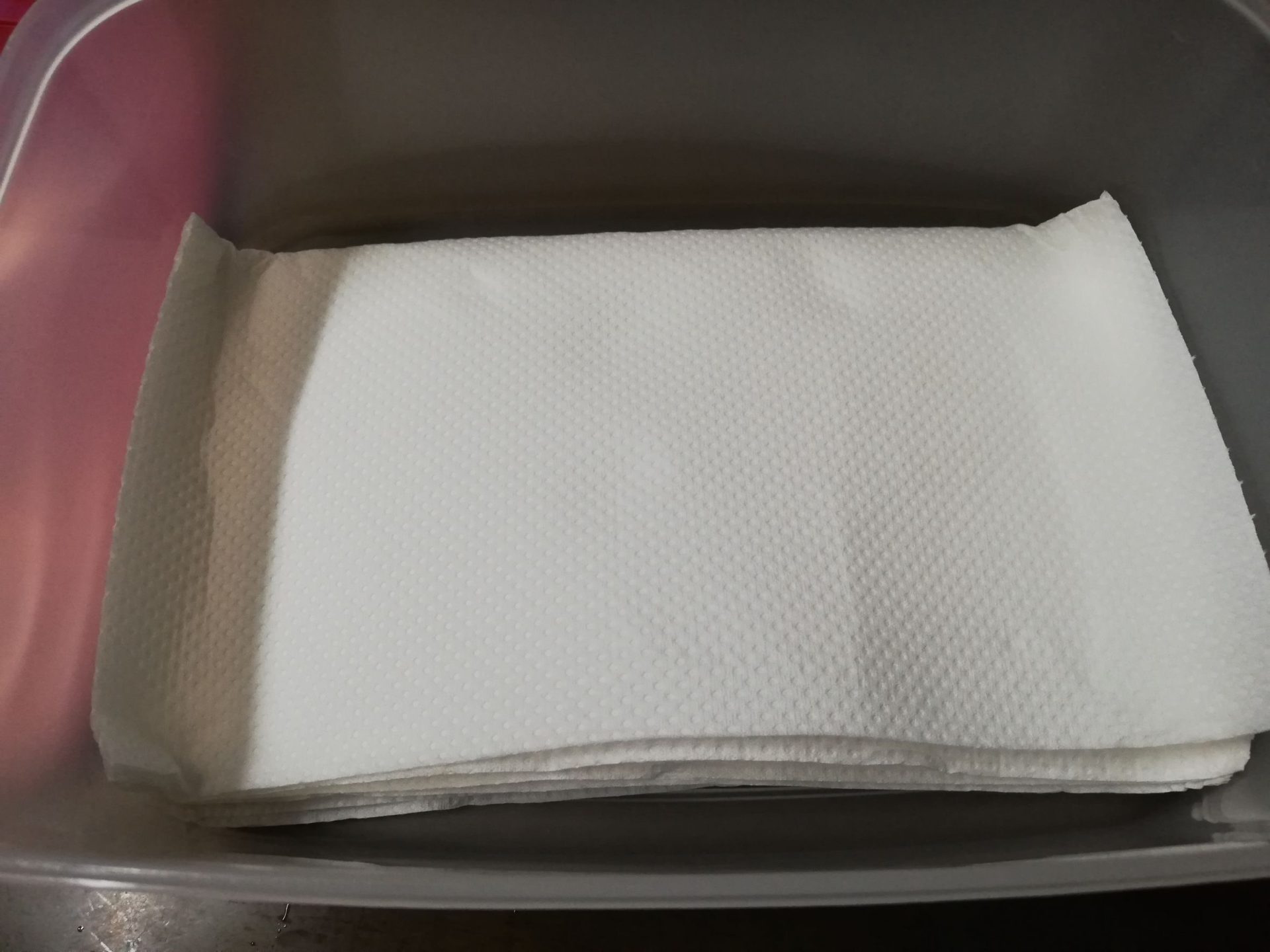 塩漬け餌　キッチンペーパー