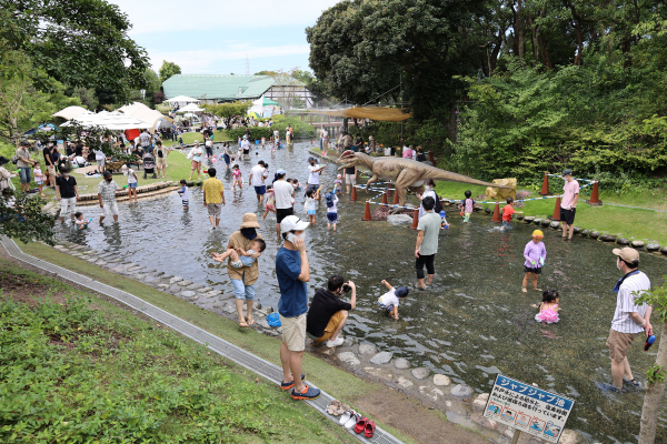 安城市 デンパーク じゃぶじゃぶ池