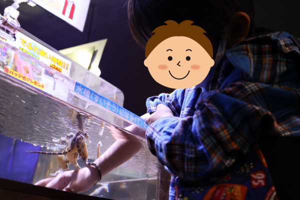 伊勢シーパラダイス　タツノオトシゴ　巻き付き体験2