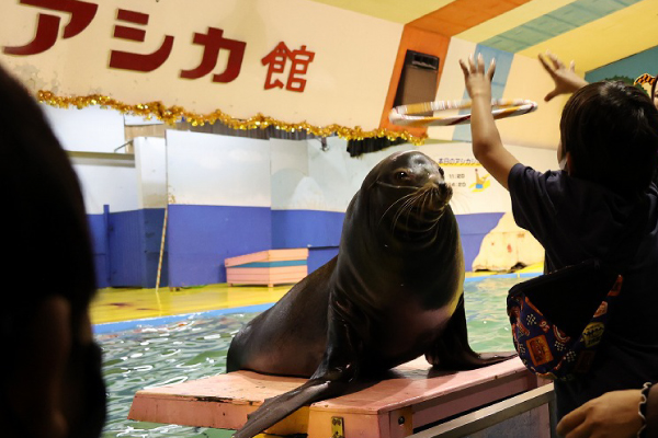 伊勢シーパラダイス　アシカショー　輪投げ